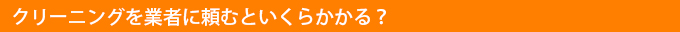 クリーニングを業者に頼むといくらかかる？